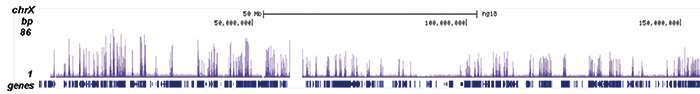 H3K79me1 Antibody ChIP-seq Grade