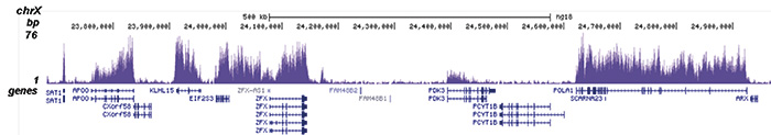 H3K79me1 Antibody for ChIP-seq 