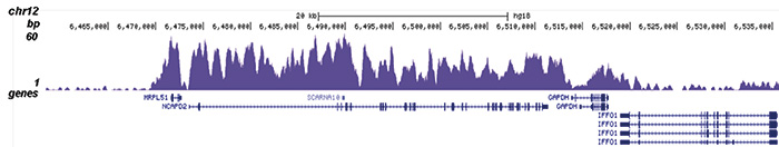 H3K79me1 Antibody for ChIP-seq assay