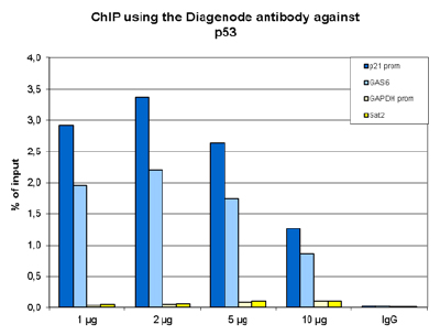 p53 Antibody ChIP Grade