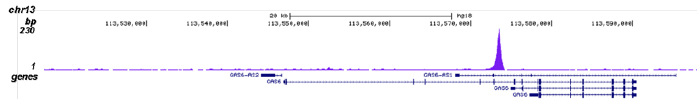 p53 Antibody for ChIP-seq assay 