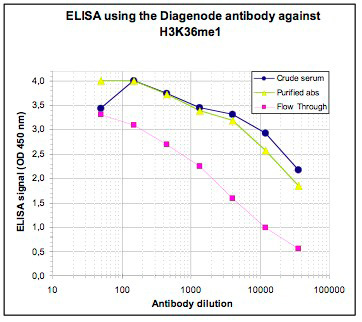 H3K36me1 Antibody ELISA validation