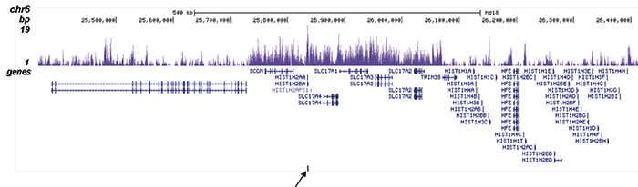 H3K27me3S28p Antibody ChIP-seq Grade