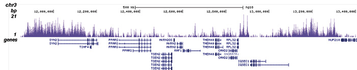H3K27me3S28p Antibody for ChIP-seq assay