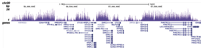 H3K27me3S28p Antibody validated in ChIP-seq