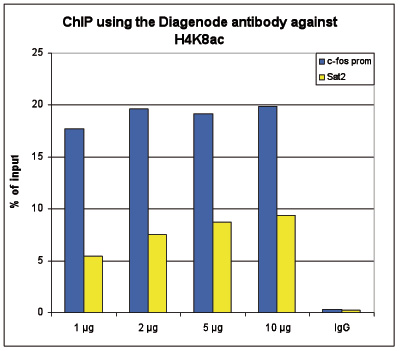 H4K8ac Antibody ChIP Grade