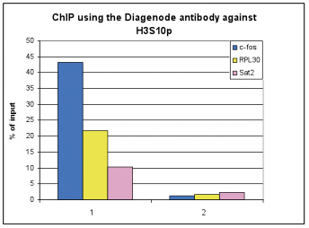 H3S10p Antibody ChIP Grade