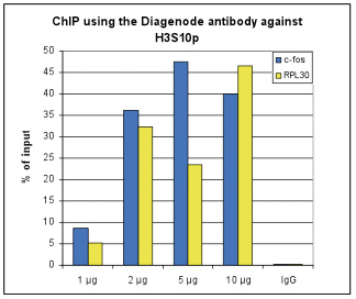 H3S10p Antibody ChIP Grade