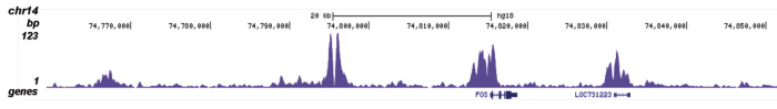 H3K18ac Antibody for ChIP-seq assay