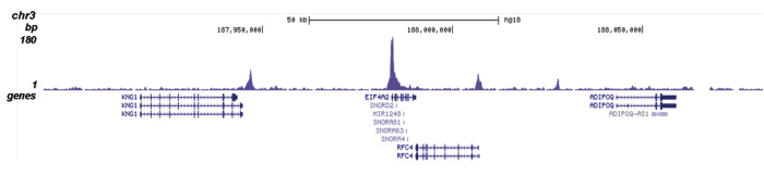 H3K18ac Antibody validated in ChIP-seq