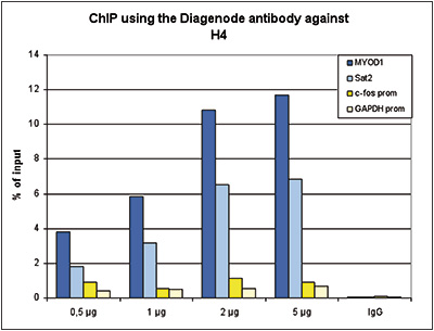 H4pan Antibody ChIP Grade