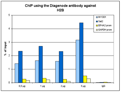 H2Bpan Antibody ChIP Grade