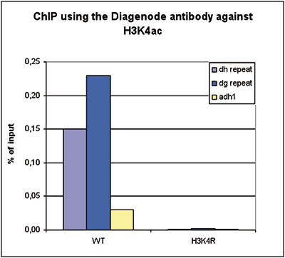 H3K4ac Antibody ChIP Grade