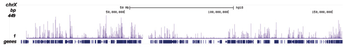 H3R17me2(asym)K18ac Antibody ChIP-seq Grade