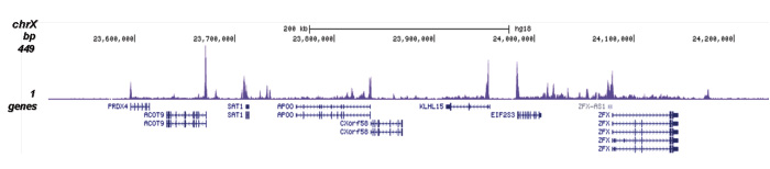 H3R17me2(asym)K18ac Antibody for ChIP-seq