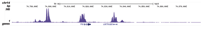 H3R17me2(asym)K18ac Antibody for ChIP-seq assay