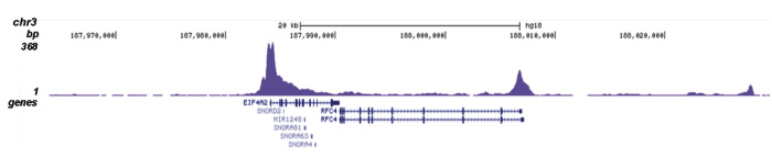 H3R17me2(asym)K18ac Antibody validated in ChIP-seq