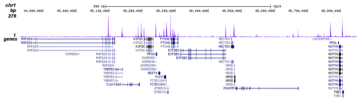 H2A.Zac Antibody for ChIP-seq