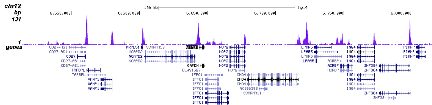 H2A.Zac Antibody for ChIP-seq assay