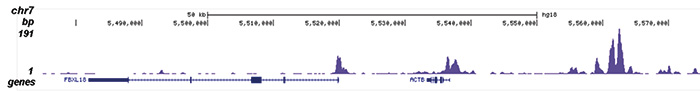 H2A.Zac Antibody ChIP-seq Grade 