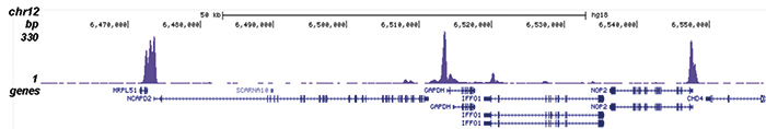 H2A.Zac Antibody for ChIP-seq