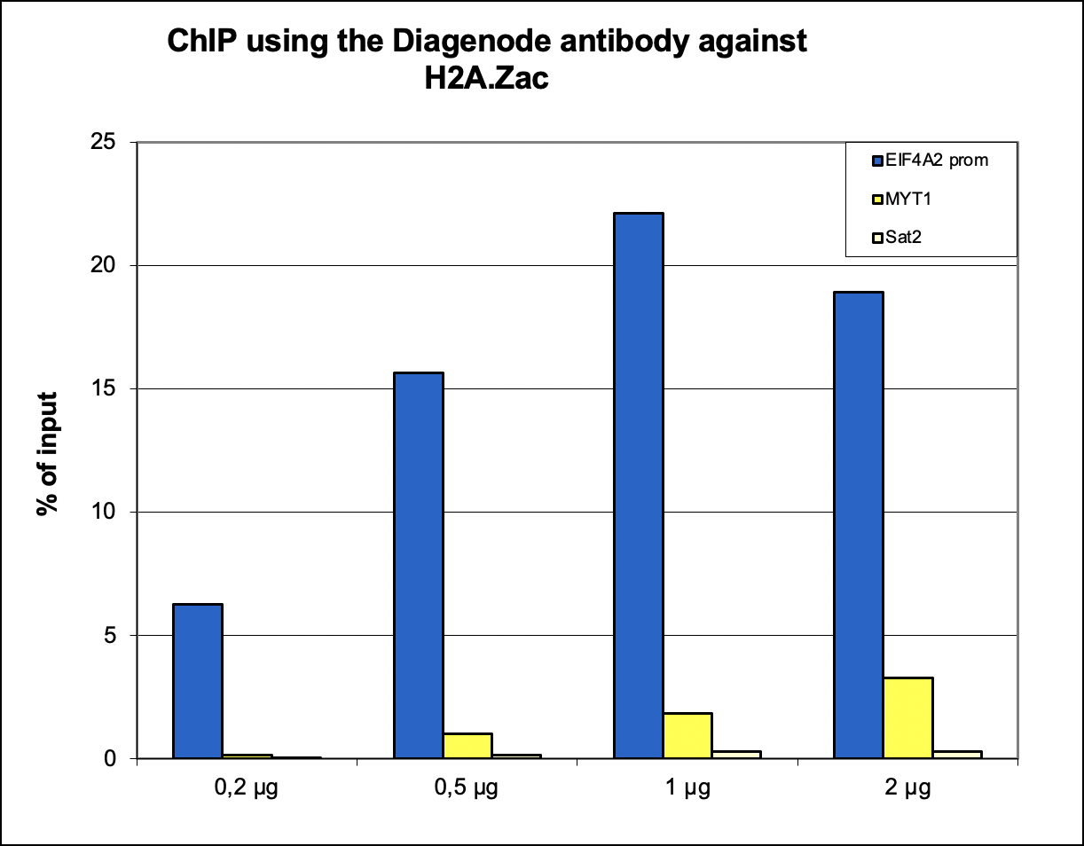 H2A.Zac Antibody ChIP Grade