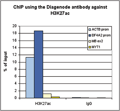 H3K27ac Antibody for ChIP-seq Grade