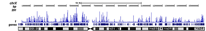 H3K27ac Antibody for ChIP-seq