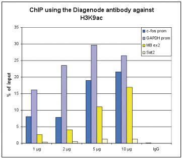 H3K9ac Antibody ChIP Grade