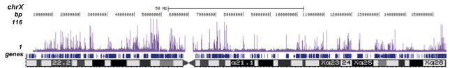 H3K9ac Antibody ChIP-seq Grade