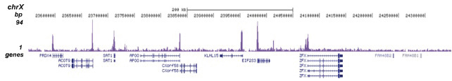 H3K9ac Antibody for ChIP-seq