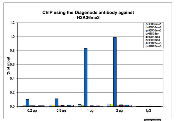 H3K36me3 Antibody SNAP-ChIP validation