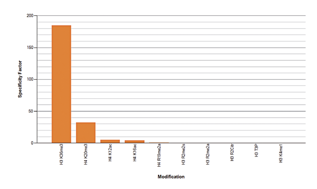 H3K36me3 Antibody Peptide Array validation