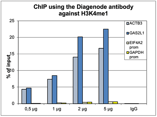 H3K4me1 Antibody ChIP Grade