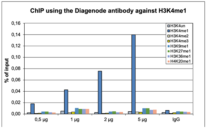 H3K4me1 Antibody for ChIP