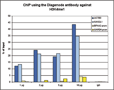 H3K4me1 Antibody for ChIP assay