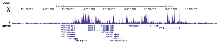 H3K4me1 Antibody Validation in ChIP-seq 