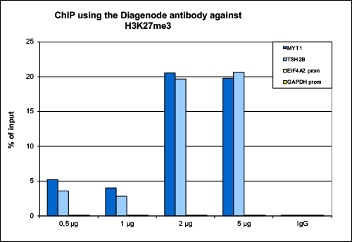 H3K27me3 Antibody ChIP Grade