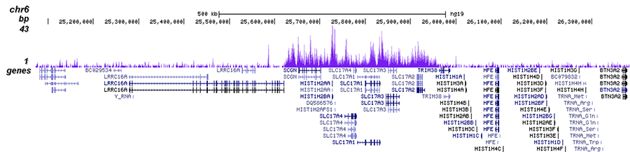 H3K27me3 Antibody ChIP-seq Grade