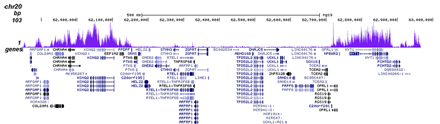 H3K27me3 Antibody for ChIP-seq