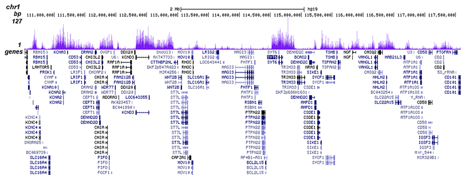 H3K27me3 Antibody for ChIP-seq assay