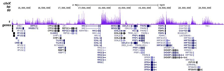 H3K27me3 Antibody validated in ChIP-seq