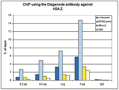 H2A.Z Antibody for ChIP