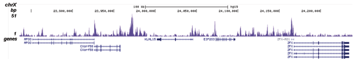 H2A.Z Antibody ChIP-seq Grade