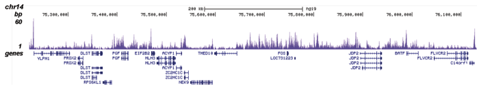 H2A.Z Antibody for ChIP-seq