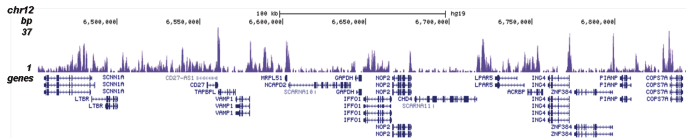 H2A.Z Antibody validated in ChIP-seq