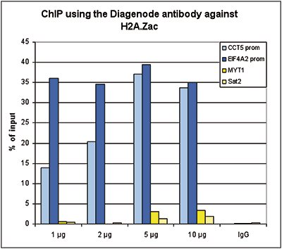 H2A.Zac Antibody ChIP Grade