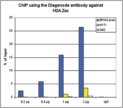 H2A.Zac Antibody for ChIP