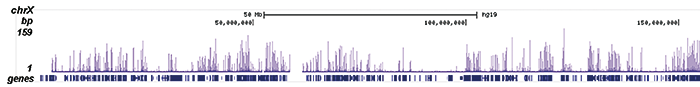 H2A.Zac Antibody ChIP-seq Grade