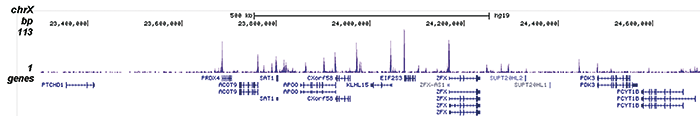 H2A.Zac Antibody for ChIP-seq